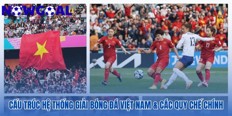 Tổng quan về cơ cấu các giải bóng đá Việt Nam