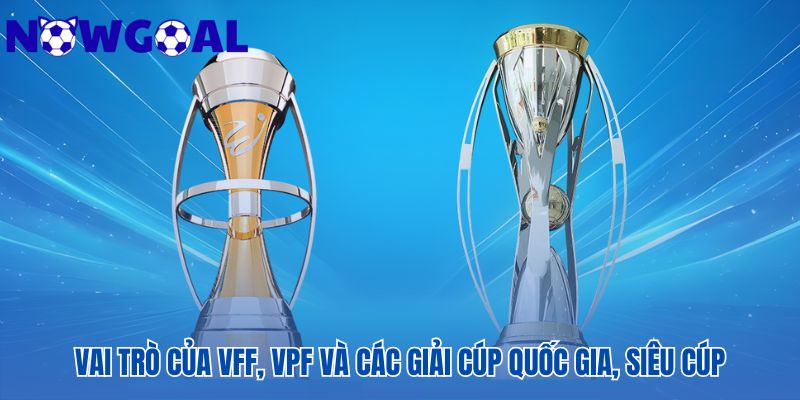 Vai trò các bên và những giải cúp trong hệ thống